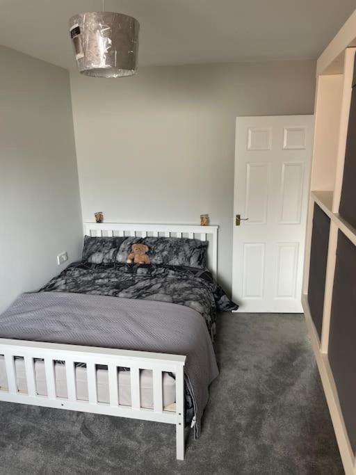 Fantastic Full 3 Bedroom Modern Apartment Belfast Exteriör bild