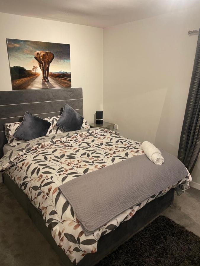 Fantastic Full 3 Bedroom Modern Apartment Belfast Exteriör bild